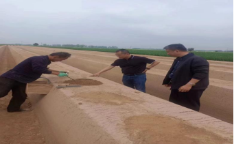 4月15日，公司李總、原料王愛兵、品管王文文奔赴菏澤深入田間地頭考察原料種植采收情況