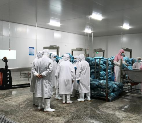 泰國TEE客戶到訪隆鑫健達分公司進行驗廠